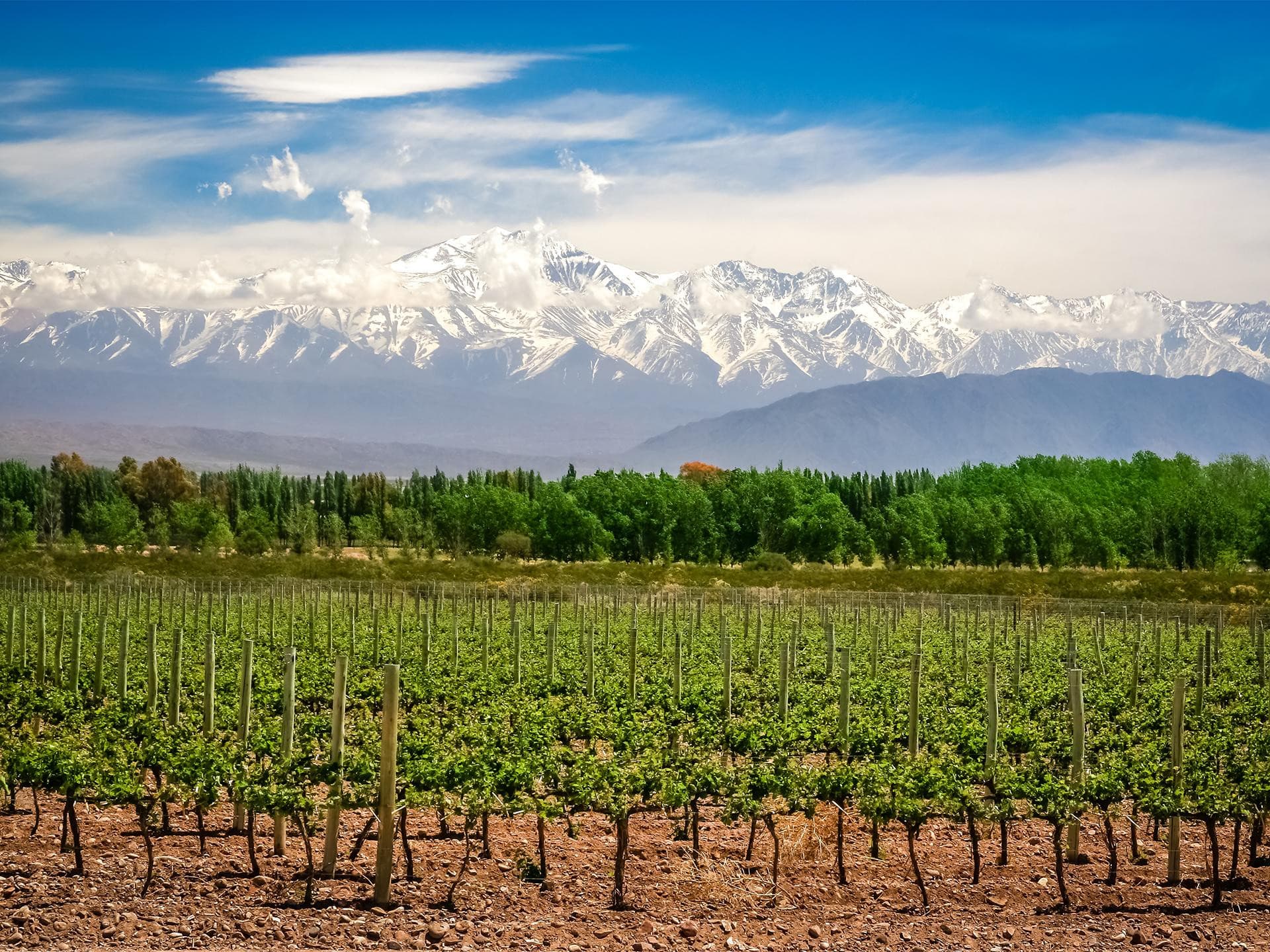 Mendoza – Vinos y Montañas